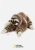 Peluche paresseux National géographic